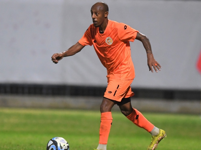 איילה (אבי רביבו)